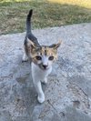 IMG_3035.jpeg