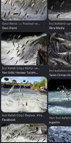 Screenshot_2026-07-17-01-24-16-806_com.miui.gallery-edit.jpg