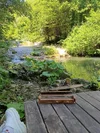 1000078045.webp