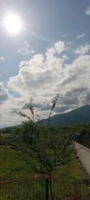 1000078207.webp