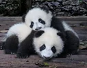 Screenshot_20220716_124012_com.huawei.browser_edit_403688376431109.webp