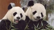Screenshot_20220716_124024_com.huawei.browser_edit_403677681451423.webp