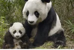 Screenshot_20220716_124039_com.huawei.browser_edit_403647913090490.webp