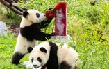Screenshot_20220716_124100_com.huawei.browser_edit_403620024344140.webp