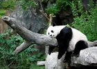 Screenshot_20220716_124127_com.huawei.browser_edit_403587289717062.webp