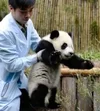 Screenshot_20220716_124158_com.huawei.browser_edit_403565993744669.webp