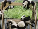 Screenshot_20220716_124222_com.huawei.browser_edit_403540550746236.webp