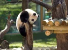 Screenshot_20220716_124228_com.huawei.browser_edit_403530397592591.webp