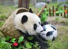 Screenshot_20220716_124247_com.huawei.browser_edit_403513018231656.webp