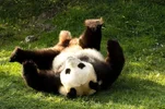 Screenshot_20220716_124255_com.huawei.browser_edit_403504202061866.webp