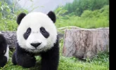 Screenshot_20220716_123351_com.huawei.browser_edit_403299758700960.webp