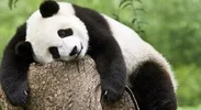 Screenshot_20220716_123357_com.huawei.browser_edit_403290240918149.webp