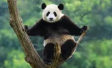 Screenshot_20220716_123404_com.huawei.browser_edit_403275174315026.webp