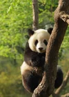 Screenshot_20220716_123408_com.huawei.browser_edit_403265905626486.webp