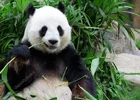 Screenshot_20220716_123424_com.huawei.browser_edit_403247243630134.webp