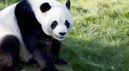 Screenshot_20220716_123438_com.huawei.browser_edit_403222913613992.webp
