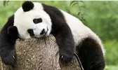 Screenshot_20220716_123448_com.huawei.browser_edit_403197870602017.webp