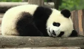 Screenshot_20220716_123455_com.huawei.browser_edit_403186407251498.webp