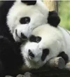 Screenshot_20220716_123511_com.huawei.browser_edit_403170090958792.webp