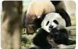Screenshot_20220716_123542_com.huawei.browser_edit_403129133621819.webp
