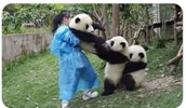 Screenshot_20220716_123609_com.huawei.browser_edit_403113042823905.webp