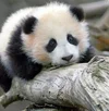 Screenshot_20220810_184240_com.huawei.browser_edit_113128012767632.webp
