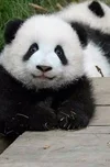 Screenshot_20220810_184230_com.huawei.browser_edit_113146693161900.webp