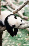 Screenshot_20220810_184224_com.huawei.browser_edit_113158077385336.webp