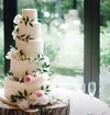 Screenshot_20220924_235931_com.huawei.browser_edit_315297463624284.webp
