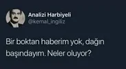 images (14).jpeg