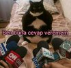 7ef5ab6a5006b4da29bd540acb9b6437.jpg