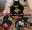 7ef5ab6a5006b4da29bd540acb9b6437.webp