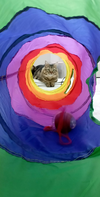 1787646934274.png