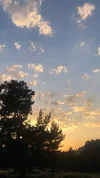 1788332840036.webp