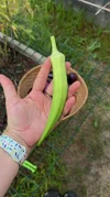 images (1).webp