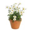 1000192315.webp