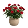 1000192324.webp