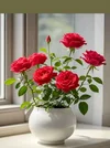 1000192334.webp