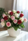 1000192338.webp