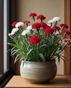 1000192521.webp