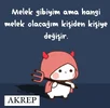 IMG_20221121_001111.webp IMG_20221121_001111.webp