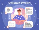 uykunun_evreleri_nelerdir_0.jpg uykunun_evreleri_nelerdir_0.jpg