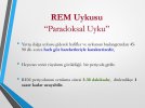 REM+Uykusu+Paradoksal+Uyku.jpg REM+Uykusu+Paradoksal+Uyku.jpg
