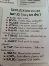 sevistikten-sonra-hangi-burc-ne-der_215120.webp