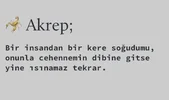 akrep1.webp