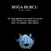 boğa.webp