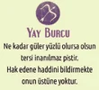 akrep.webp