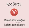 Koç 2.webp