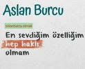 aslan.webp