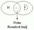 3_kimyasal-Bağlar.gif 3_kimyasal-Bağlar.gif